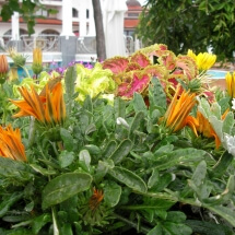 SANYO DIGITAL CAMERA