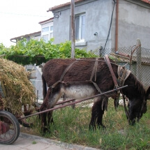 SANYO DIGITAL CAMERA