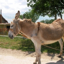 SANYO DIGITAL CAMERA