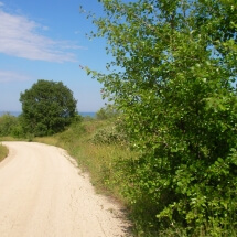 SANYO DIGITAL CAMERA